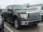 2010 Ford F-150 XL