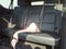 2023 Cadillac Escalade ESV Premium
