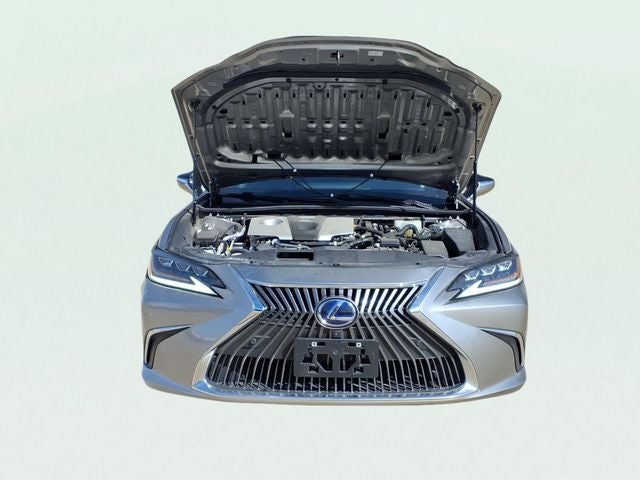 2020 Lexus ES 300h Luxury