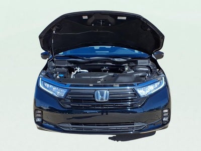 2023 Honda Odyssey Elite