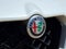 2019 Alfa Romeo Stelvio Quadrifoglio