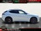 2019 Alfa Romeo Stelvio Quadrifoglio